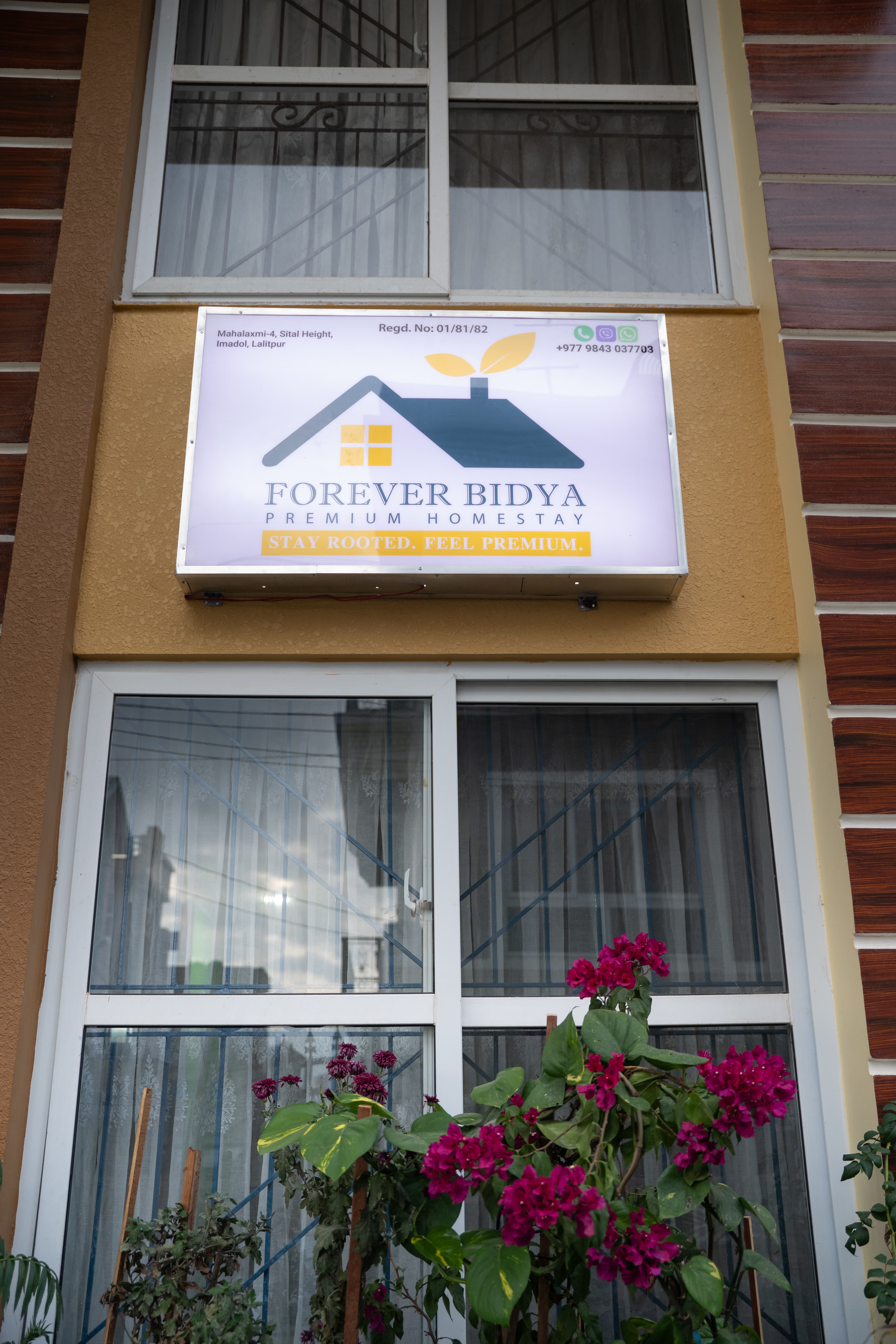 Company Board